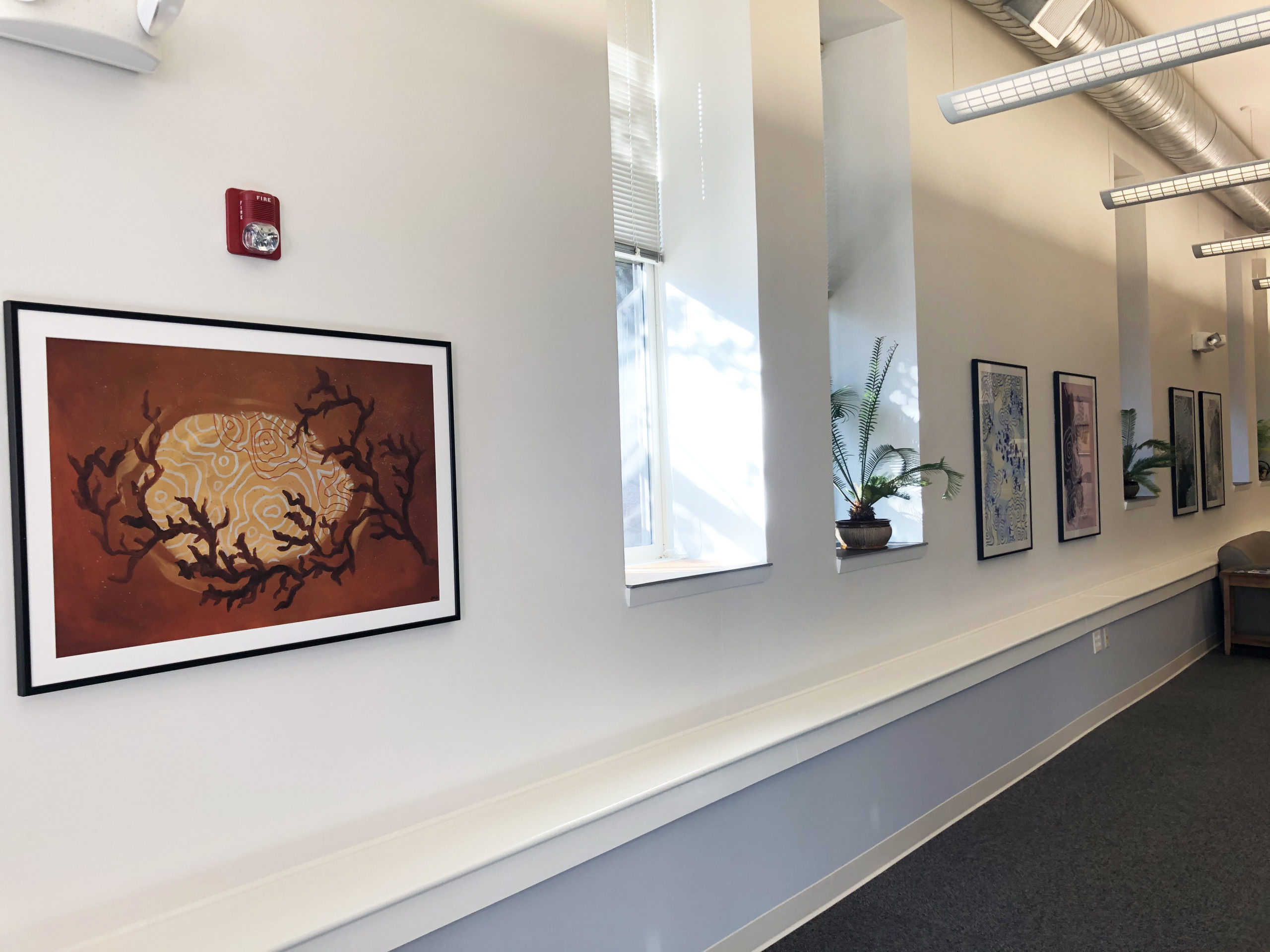 Gallery Custom Framing & More York, PA Framers'